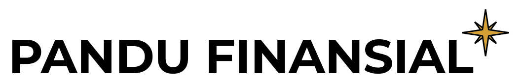 pandufinansial.com